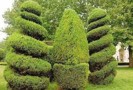世界杯官网 建阳政绿化工程招标公告